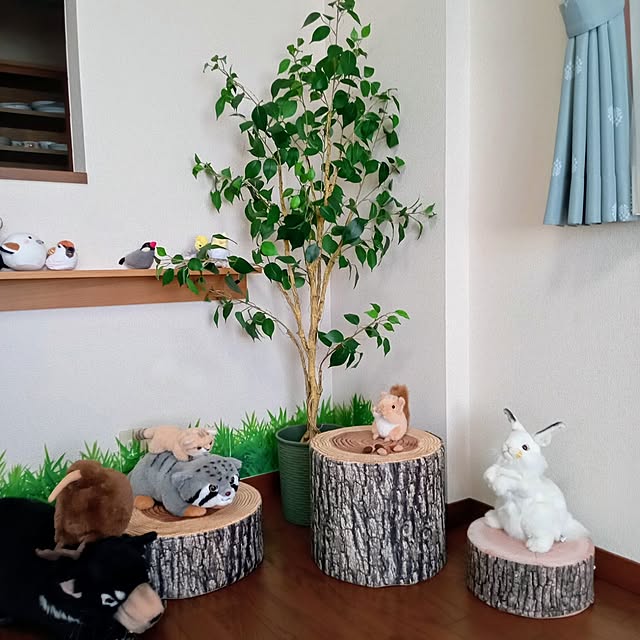 tarosanさんの実例写真