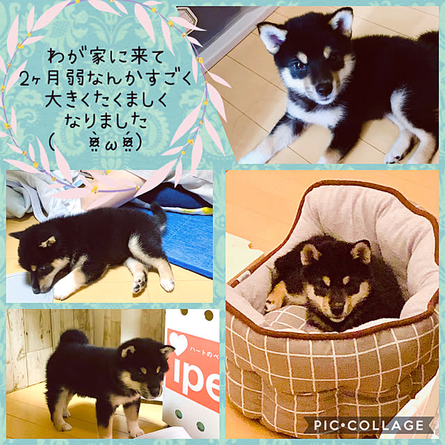 mo-nosukeさんの実例写真