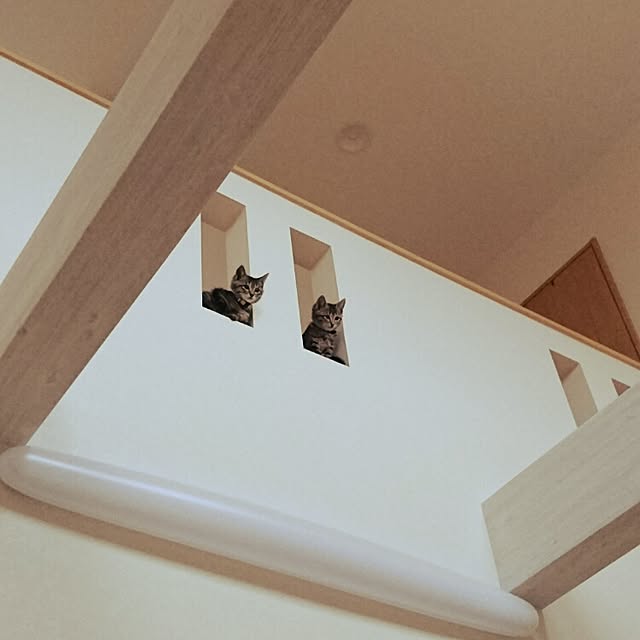 sattuさんの実例写真