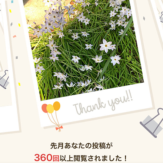 konekoさんの実例写真