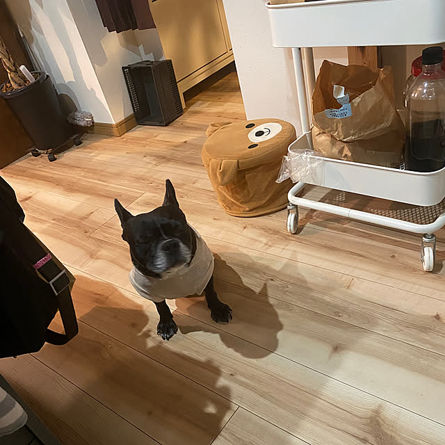 kotaroさんの部屋