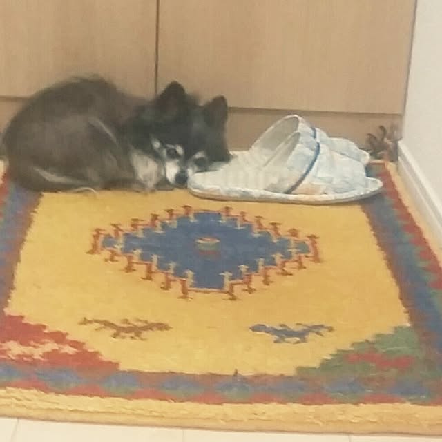 nia1213さんの実例写真