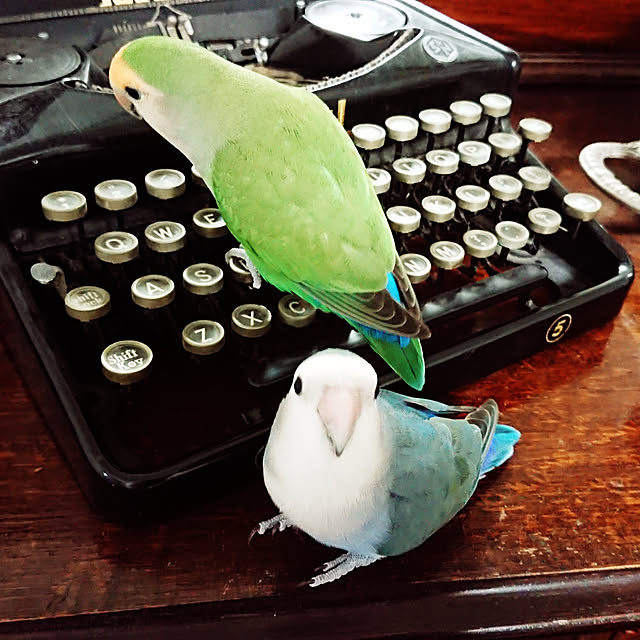 MIUOOさんの実例写真