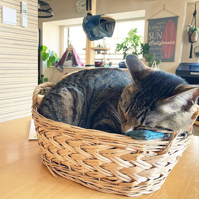 suemonta14さんの実例写真