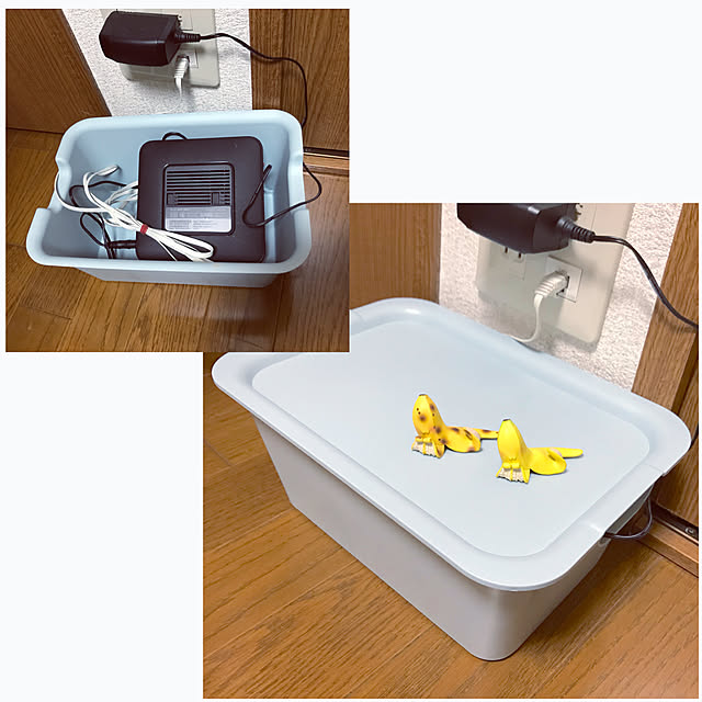 chi-ponさんの実例写真