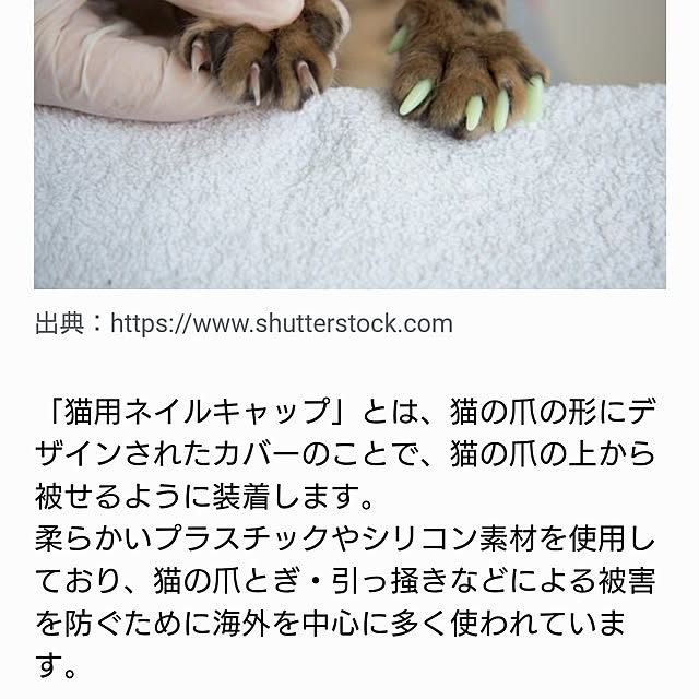 noguriさんの部屋