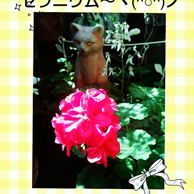 Emmyさんの実例写真