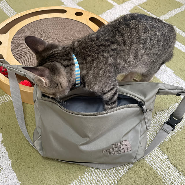 tomoさんの実例写真