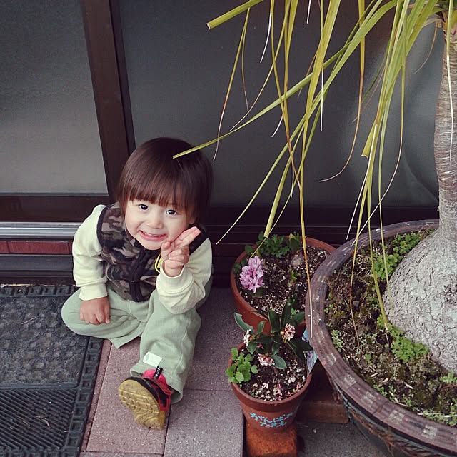 kikuさんの実例写真