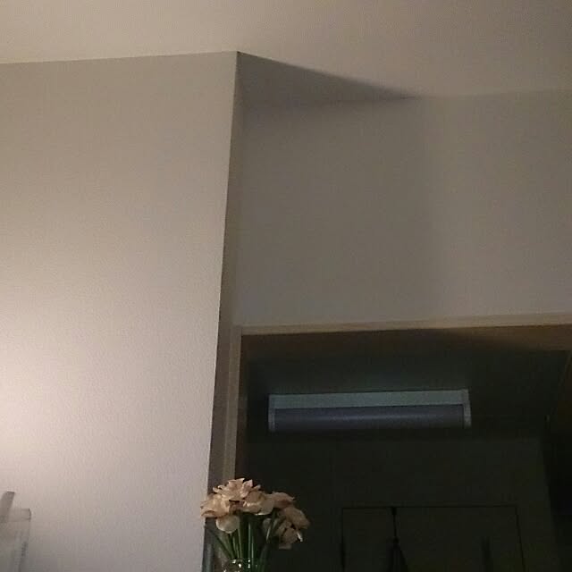 082813aさんの実例写真