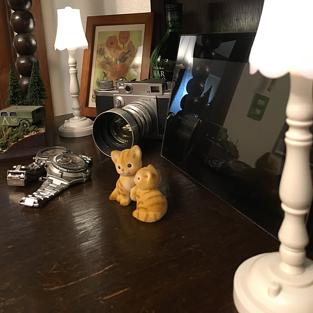 frostyさんの実例写真