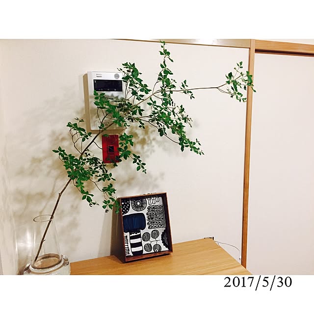 minnさんの実例写真
