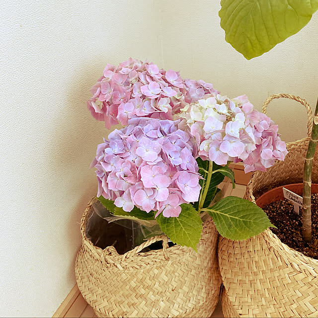 yumi.happy.lifeさんの実例写真