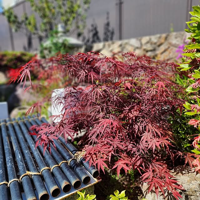 takeyoshiさんの部屋