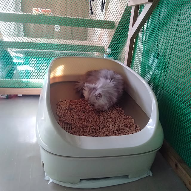 makaronさんの部屋