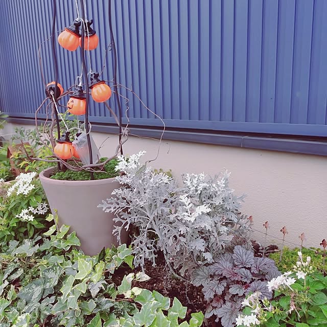 Motoziさんの部屋