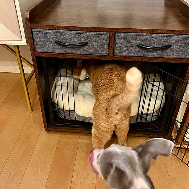 MEさんの実例写真