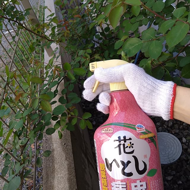 odecomaikoさんの実例写真