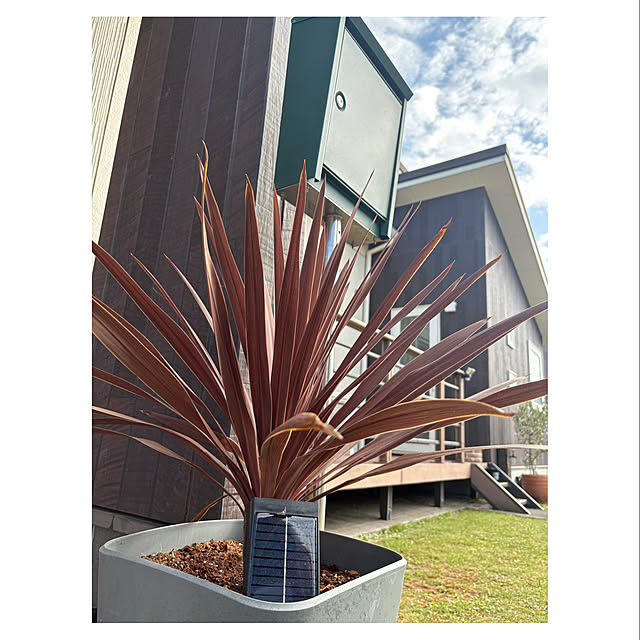 t-k-aさんの実例写真