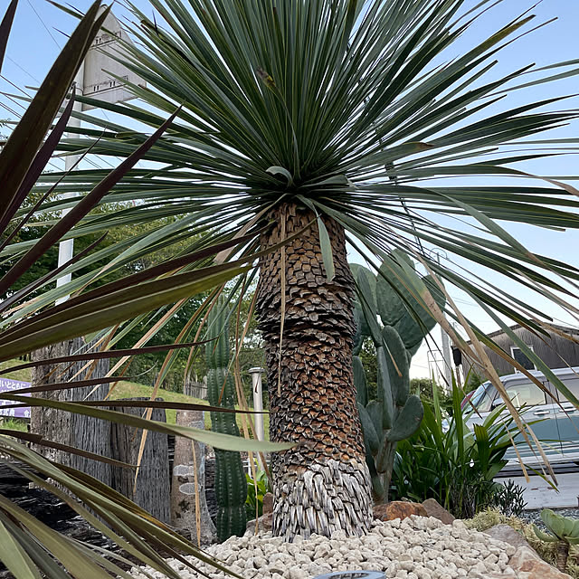 Reikoさんの部屋