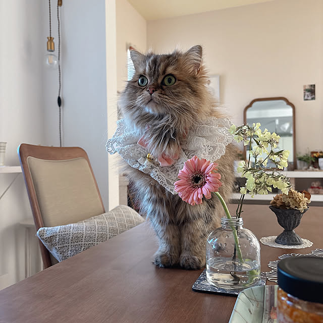 miyu39さんの部屋