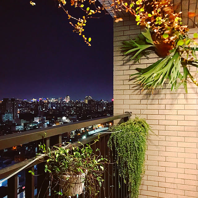 mr_Grassさんの実例写真