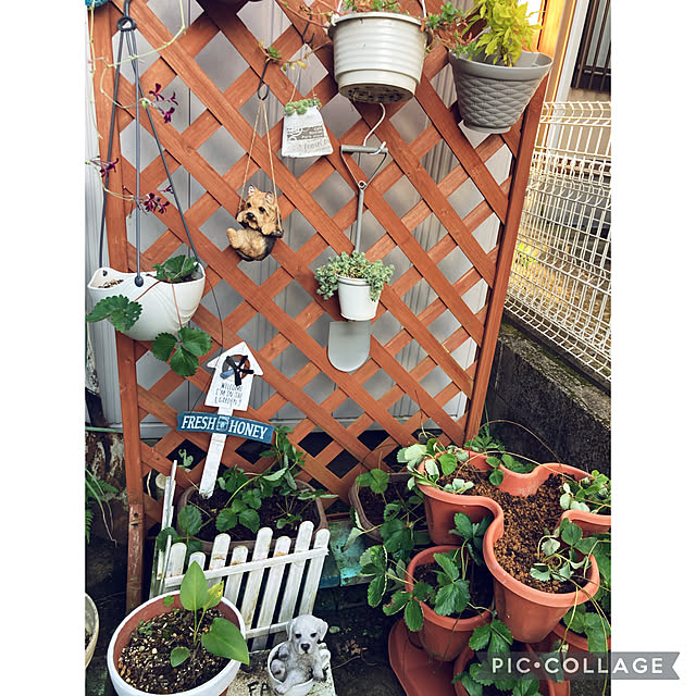 CoCo0617さんの実例写真