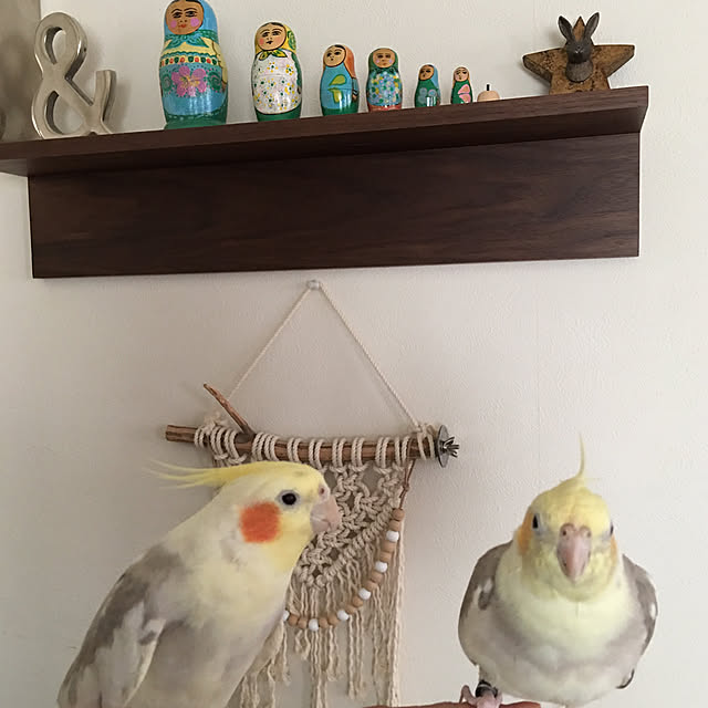 puriyuzuさんの実例写真