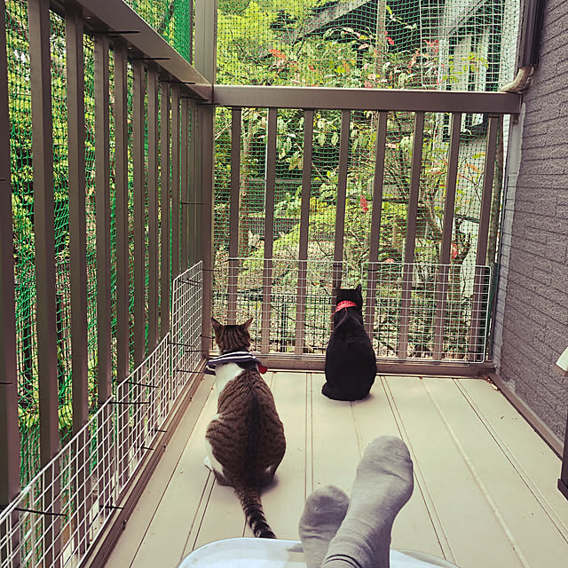 jijiさんの実例写真