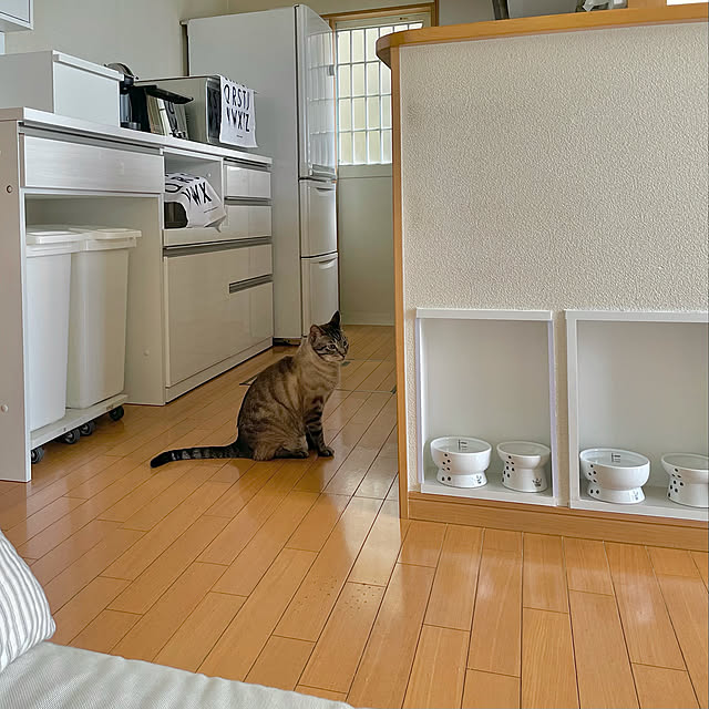 chieさんの実例写真