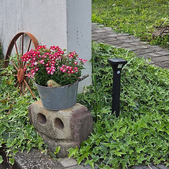 reireiさんの部屋