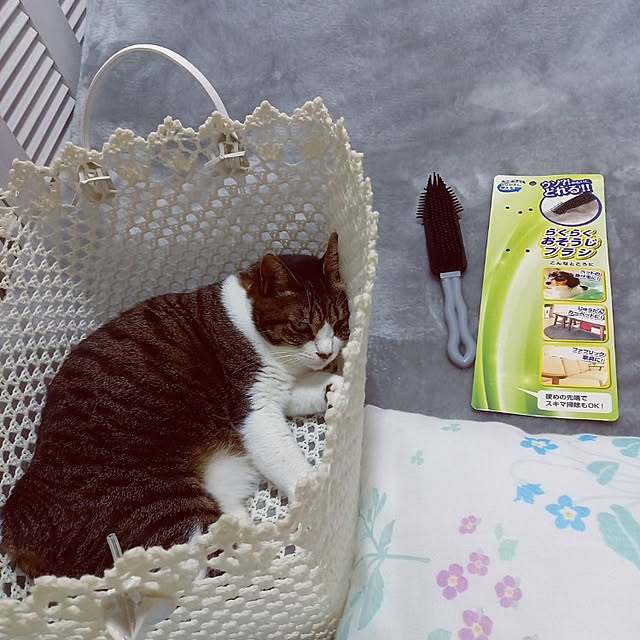 civicglさんの実例写真