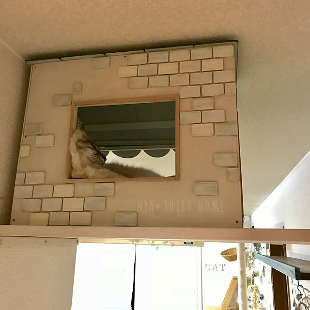 kazaneさんの実例写真