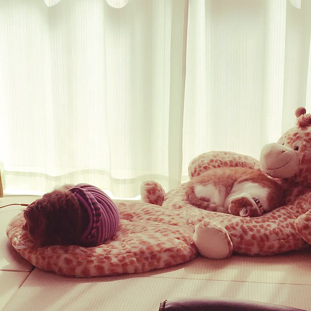 hitoさんの実例写真