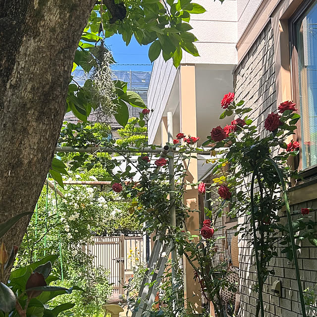 botanさんの部屋