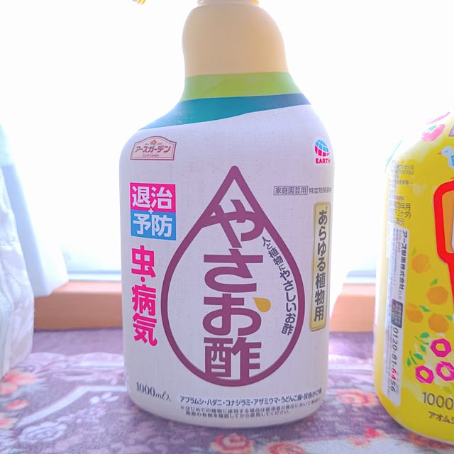 mariaさんの部屋