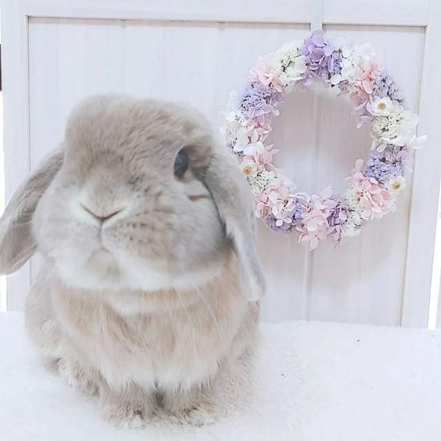 naominさんの実例写真