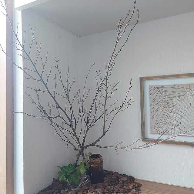 HARUNEKOさんの部屋