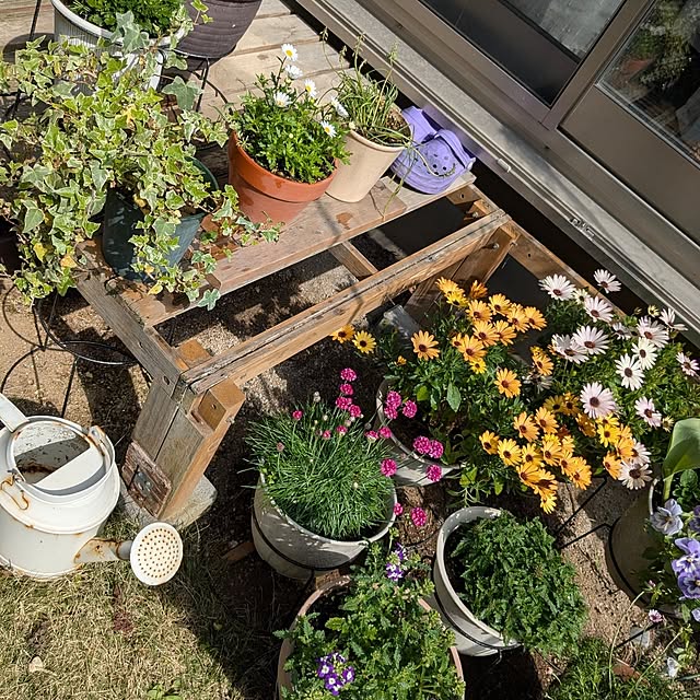 mofukoさんの部屋