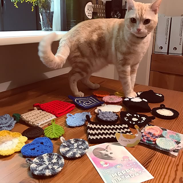 hiyupan88さんの実例写真