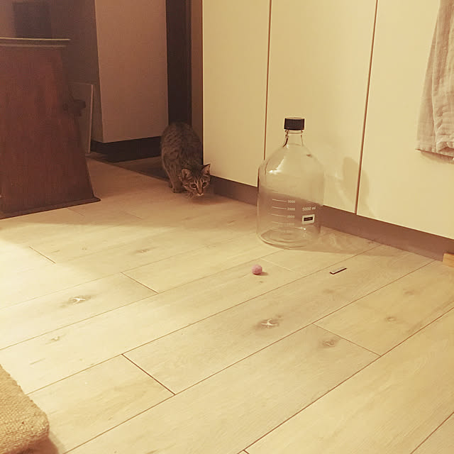 Mさんの実例写真