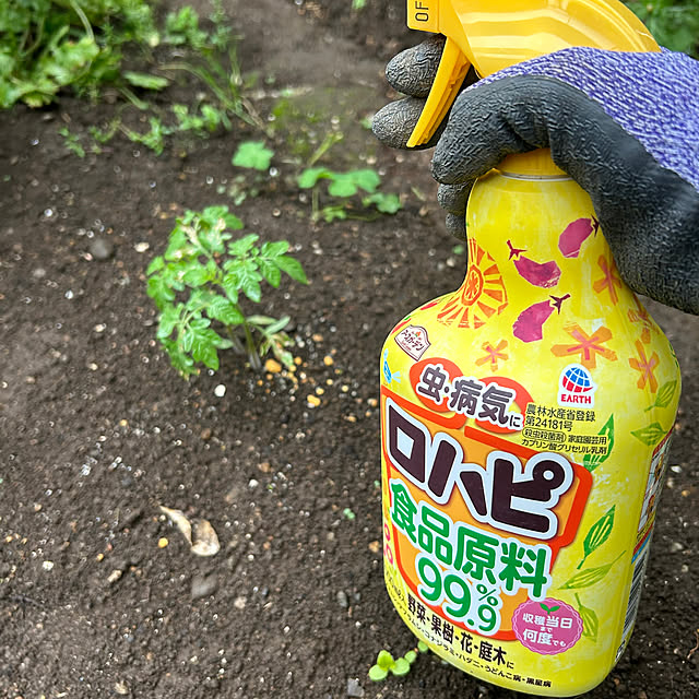 botanさんの部屋