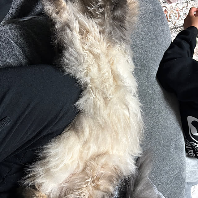 mayumiさんの部屋