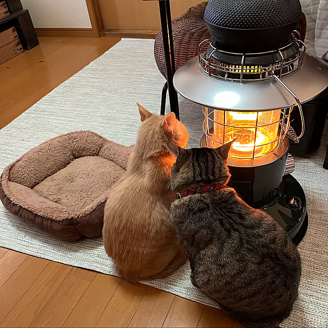 mikan161さんの実例写真