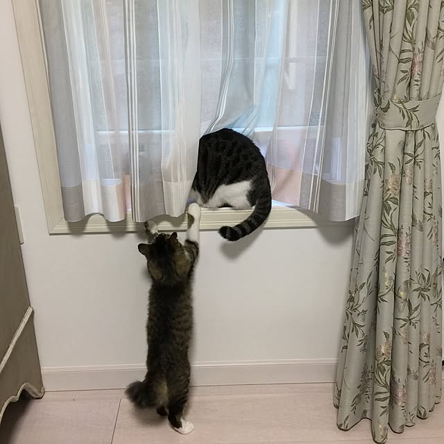 yuchiさんの実例写真