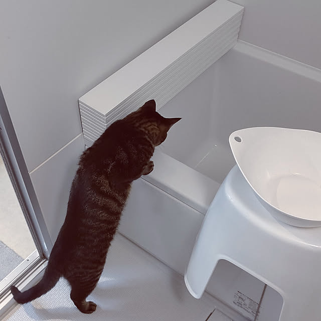 hihaさんの実例写真