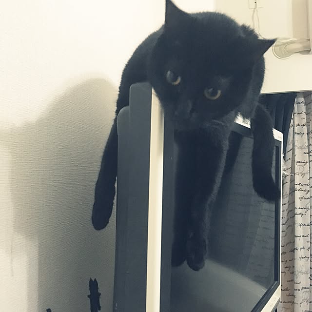 tiara0607さんの実例写真