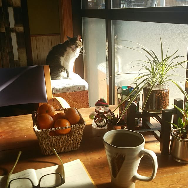 montomoさんの実例写真