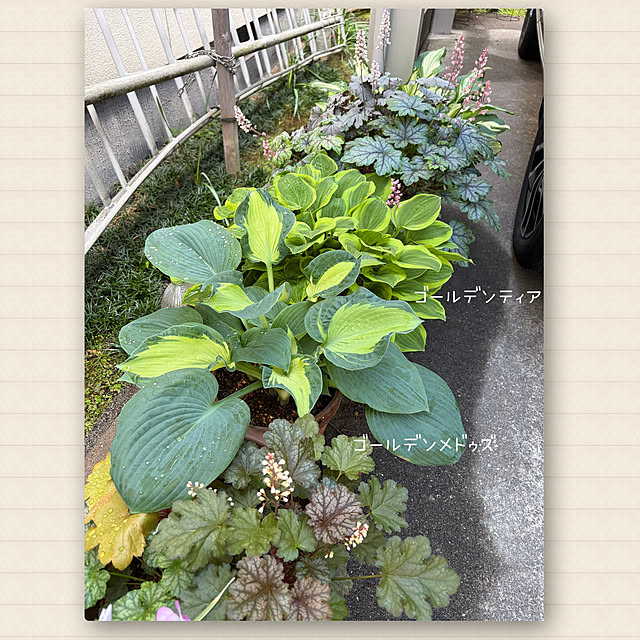 buchiさんの部屋