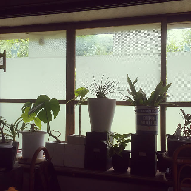 SYOUGUNさんの実例写真
